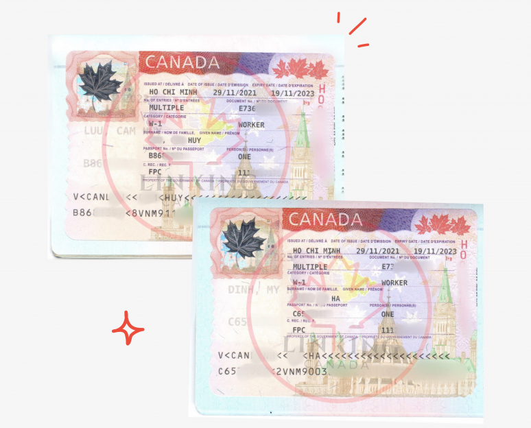 Những chiếc Visa nóng hổi lại về với team Linking theo chương trình đề cử tỉnh bang British Columbia (BC PNP)