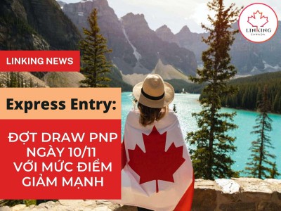 Express Entry: Đợt draw PNP ngày 10/11 với mức điểm giảm mạnh