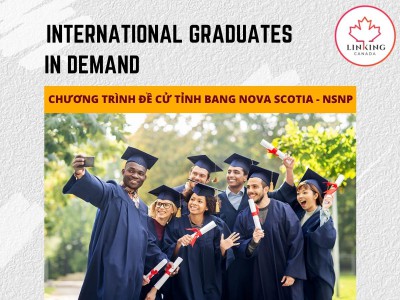 NSNP-International Graduates in Demand - cơ hội định cư nhanh chóng cho sinh viên quốc tế