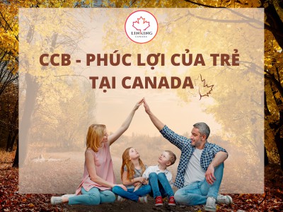 Phúc Lợi Trẻ Em Canada (CCB) - Cực Hấp Dẫn Với Các Hộ Gia Đình Tại Canada