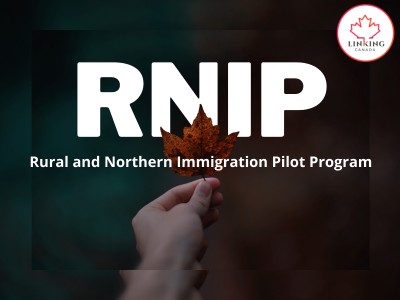 North Bay chính thức thực hiện Chương trình thí điểm RNIP