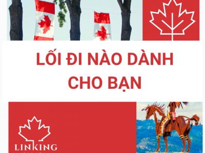 Background không nổi bật, nhưng vẫn muốn định cư Canada - AIP là câu trả lời