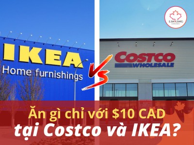 Ăn gì chỉ với $10 CAD tại Costco và IKEA?