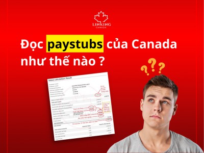 Đọc paystubs của Canada như thế nào?