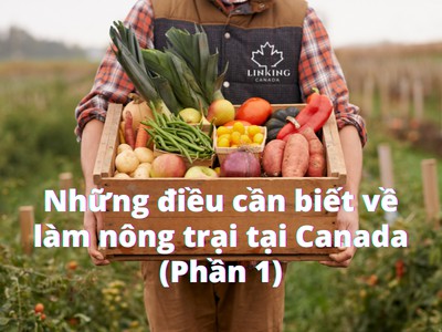 Những điều cần biết về làm nông tại Canada (P.1)