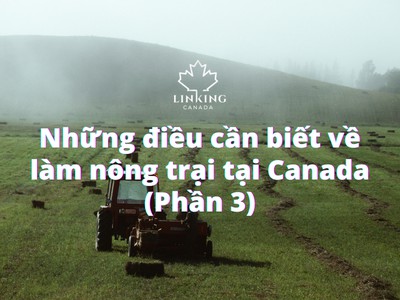Những điều cần biết về làm nông tại Canada (P.3)