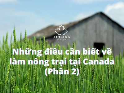 Những điều cần biết về làm nông tại Canada (P.2)